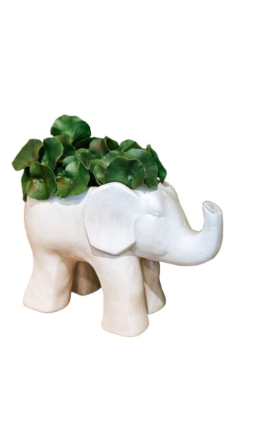Elefante floreira branco em resina